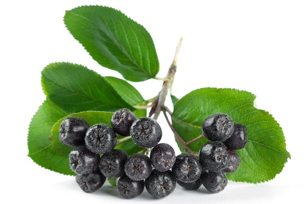 ef365eb0f701379c2d39e5583f2fcf45_1606722